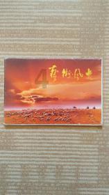 混乱特工